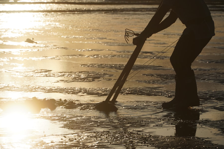 Go Clam Digging