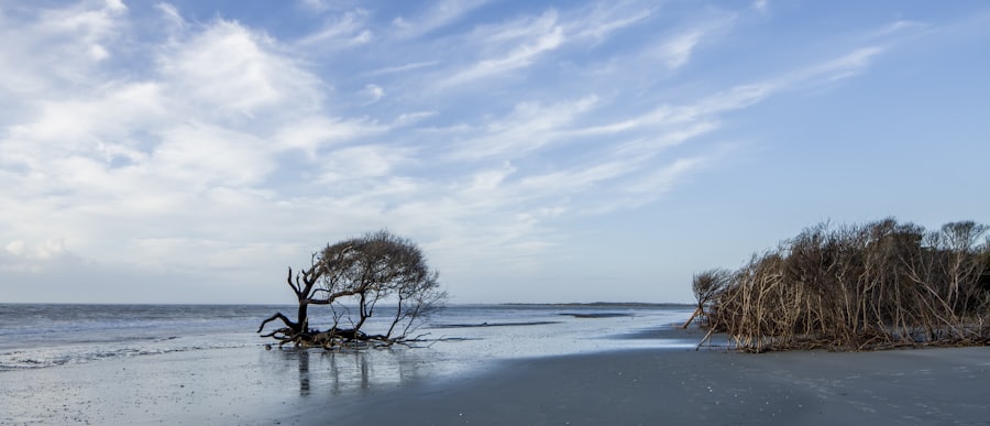 Hike Lighthouse Inlet Heritage Preserve